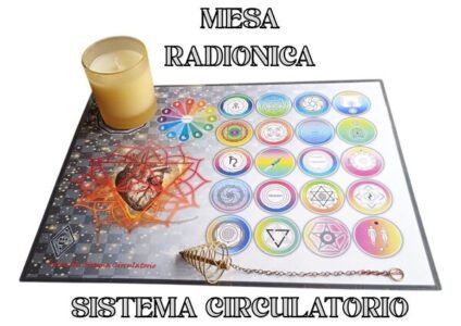 M. Radionica sistema circulatorio