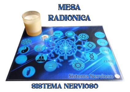 Mesa Radionica Sistema Nervioso