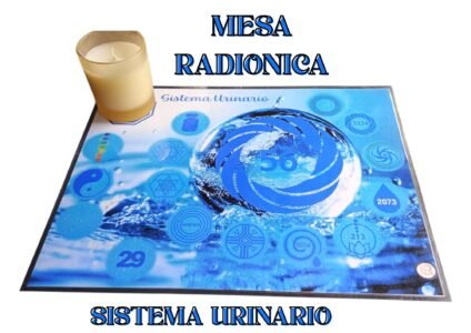 Mesa Radiónica Sistema Urinario